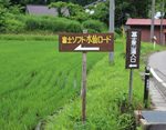 町道に設置されている看板