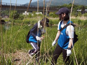 河川敷でペットボトルなどを回収 