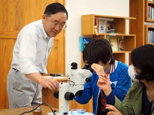 顕微鏡でプランクトンを観察