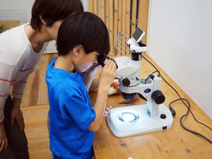 顕微鏡で微生物探しに挑戦