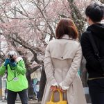 桜のトンネルで地元の皆さんを撮影