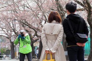 桜のトンネルで地元の皆さんを撮影